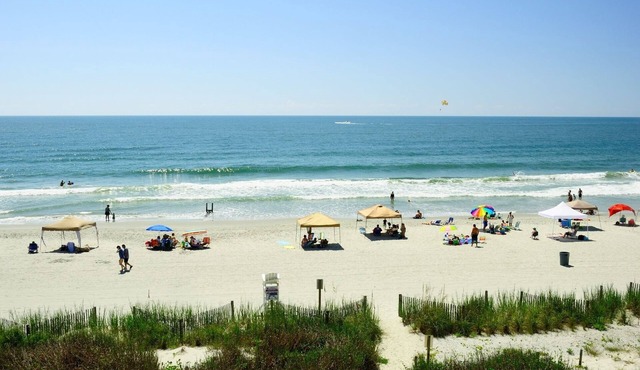 Ocean Front with Incredible Views -wifi, pool, corner unit, in-unit washer/dryer