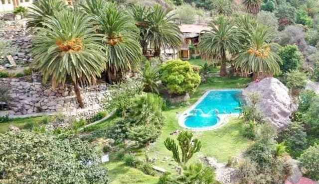 Paraiso Palmeras - Sangalle