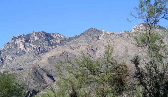 Pet Friendly-1st Floor 2 with Direct Access from parking - Mountain Views!