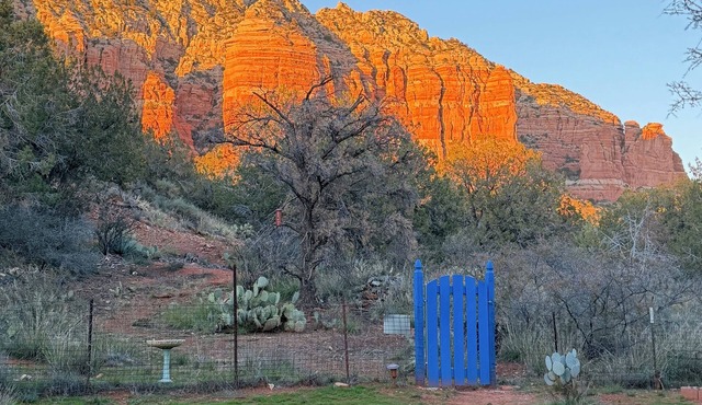 Red rock views ♦ Private access to the forestry ♦ The perfect romantic escape