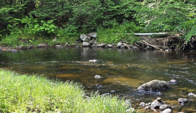 River Retreat –Tranquil Getaway, Fish, Hike & Explore from Your Back Door
