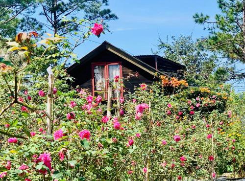 Romantic house 2 on a pine hill Dalat