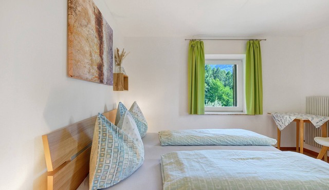 Room 'Rienznerhof Zimmer Weinberg Nr. 2' with Mountain View, Shared Terrace and Wi-Fi