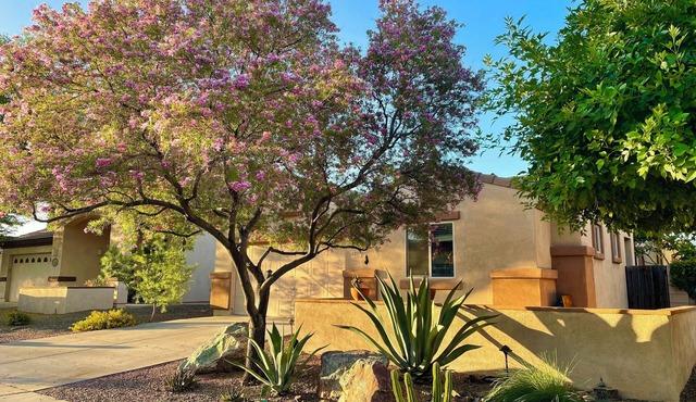 Sanctuary home in Oro Valley!