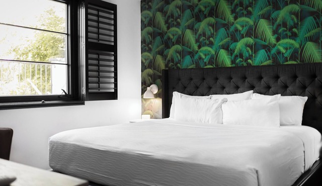 Sleeps 8 | 4 SoBro Suites w/Kitchens, Walk to Broadway – by AvantStay