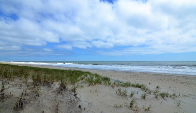 STEPS TO THE SEA AND SAND IN DEWEY BEACH