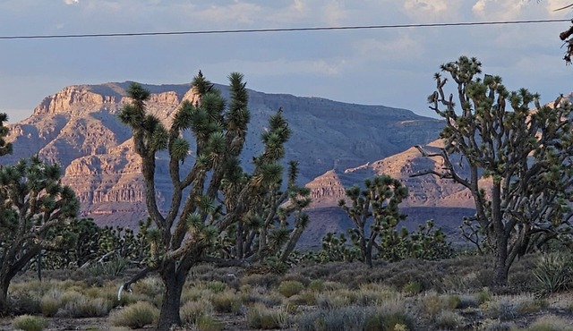 Stunning Views! Rustic cabin facing the base of Grand Canyon West