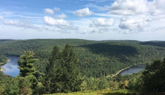 The Masthope View House-Chalet Overlooking Delaware River with Fab Game Room!