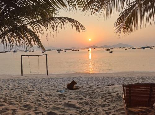 The Sunrise Anh Tu