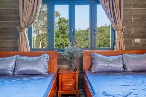 Thiên Vy Homestay