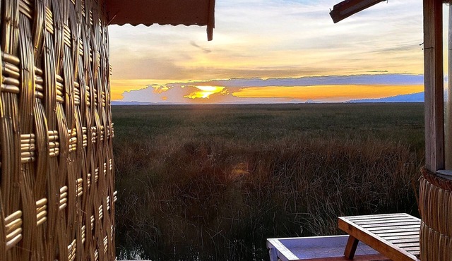 Titicaca Halso Los uros