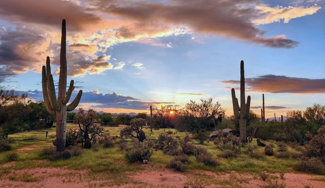 Tucson Desert Oasis Family Home 3BR 2BA on 2 Acres Nature Views Arcade Games