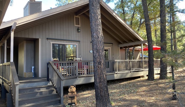 Updated cabin under the tall pines with Starlink 🌲 Uncle Buck’s Cabin 🦌
