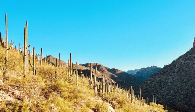 Walk to Sabino Canyon Trails, 4Bd Home with Hot Tub