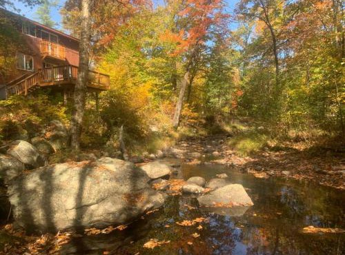 Whispering Woods Cabin - Creekside & Pet Friendly