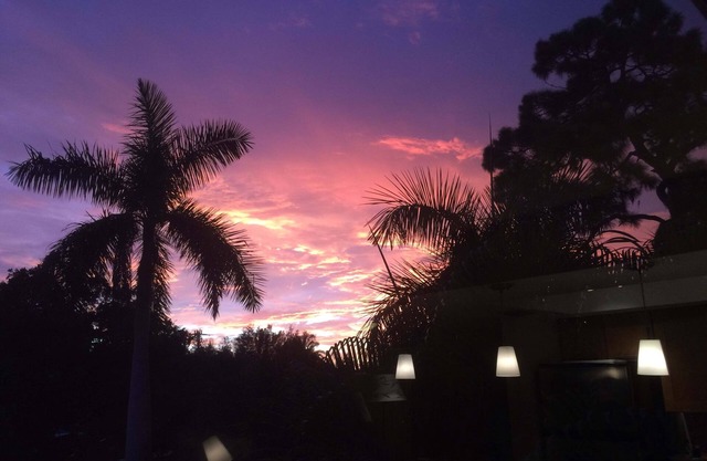 Cs Sarasota 