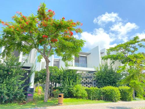 Oceanami Villas Beach Club At 