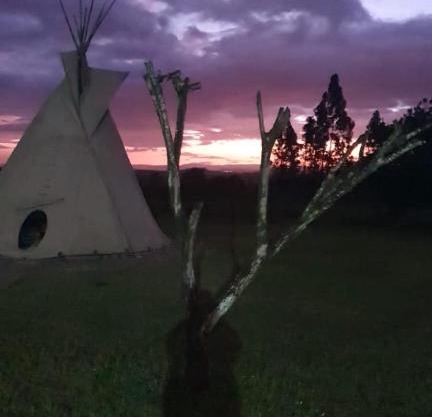 The Farm