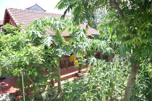 Van Long Homestay 