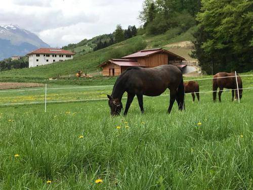 Lomaso House | 35 m² Farmhouse ∙ 5 guests