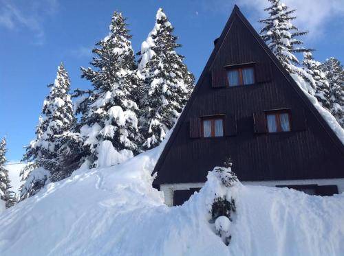 Tesero Ski Chalet | 85 m² Chalet ∙ 3 bedrooms ∙ 7 guests