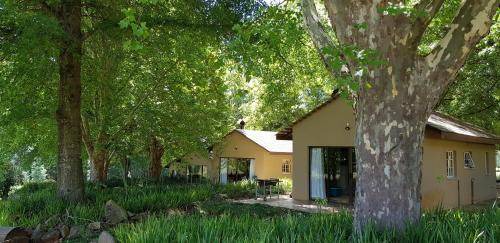 Cathkin Park Cabin | 90 m² Lodge ∙ 2 bedrooms ∙ 4 guests