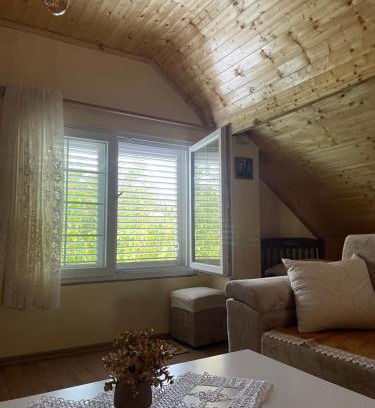 Puke House | Riza Guest House