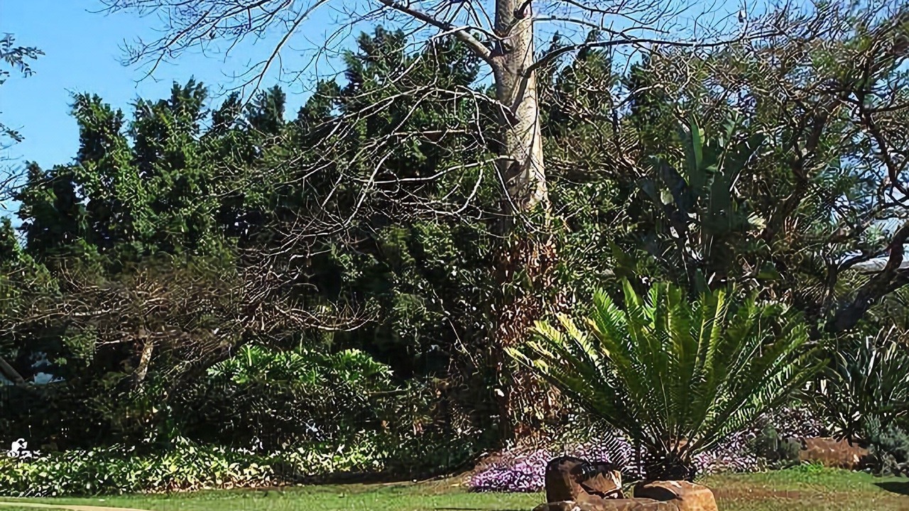 Photo of Others in Pietermaritzburg