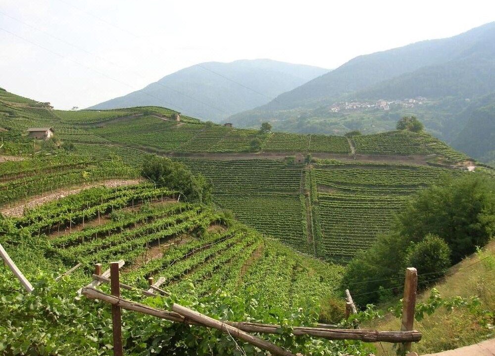 Photo of Outdoor in Faver