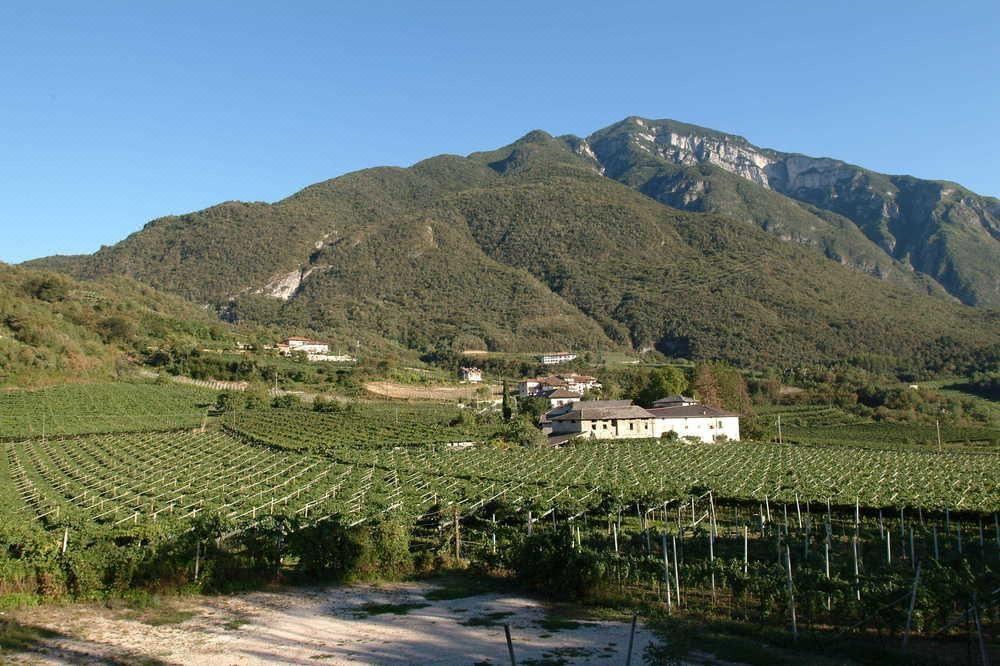 Photo of Outdoor in Mattarello