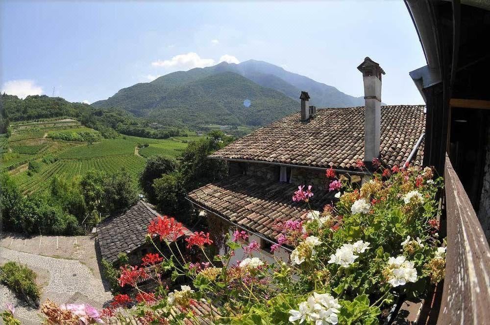 Photo of Others in Mattarello
