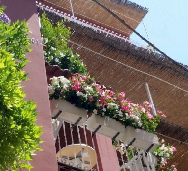 Photo of Others in Positano City Centre