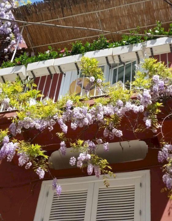 Photo of Others in Positano City Centre