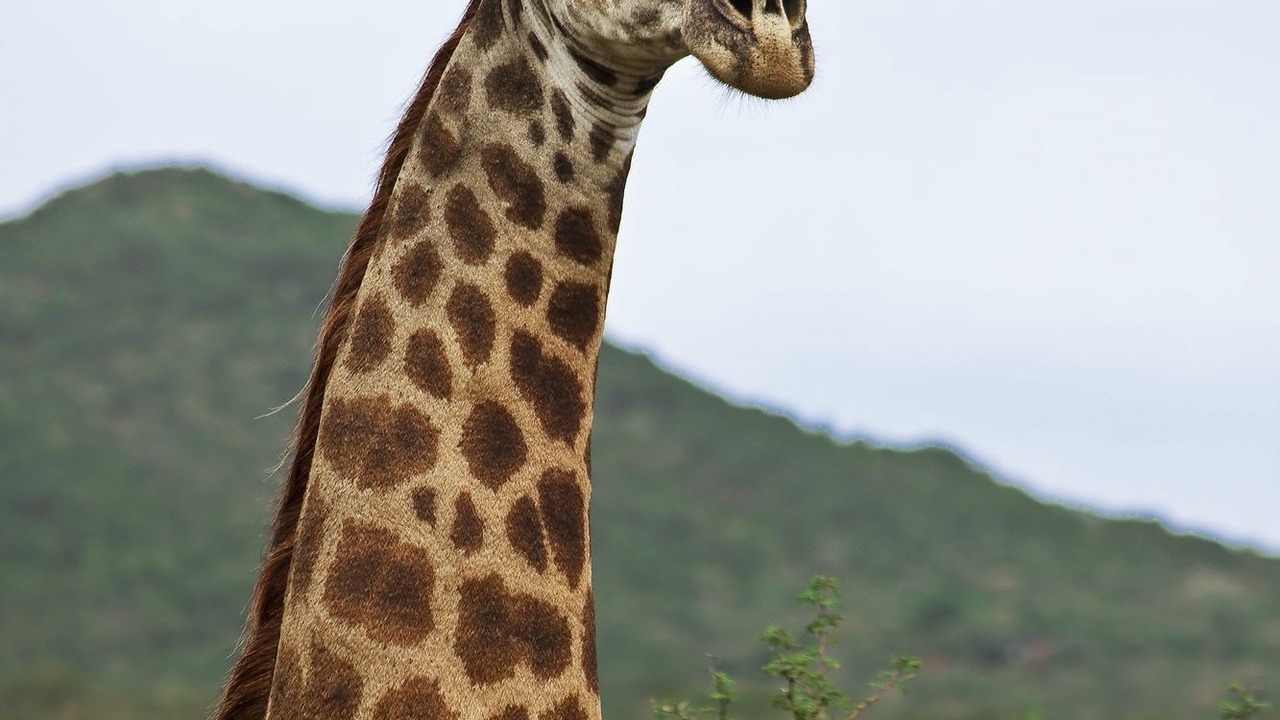 Photo of Others in Jozini