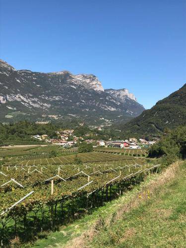 Photo of Outdoor in Padergnone