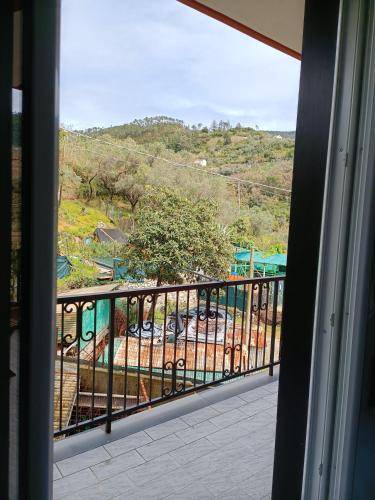 Photo of Others in Cinque Terre