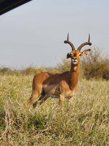 Photo of Others in Mkuze