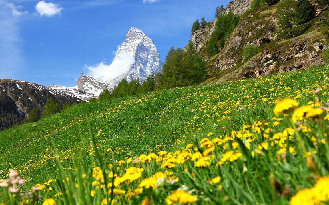Photo of Others in Zermatt City Centre