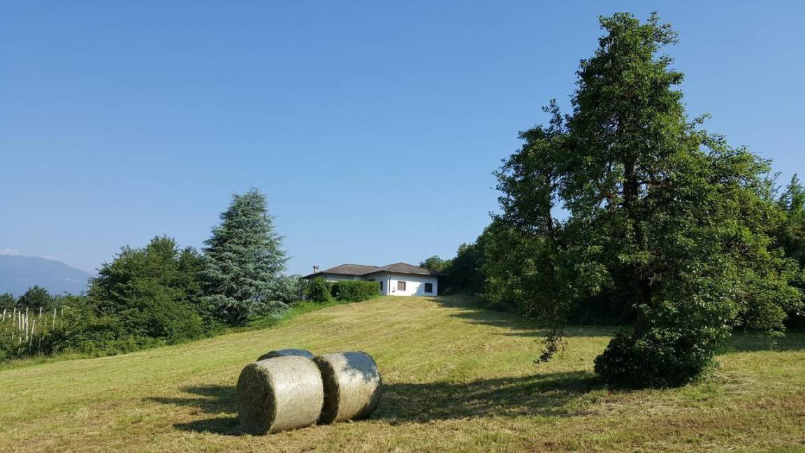 Photo of Others in Predaia