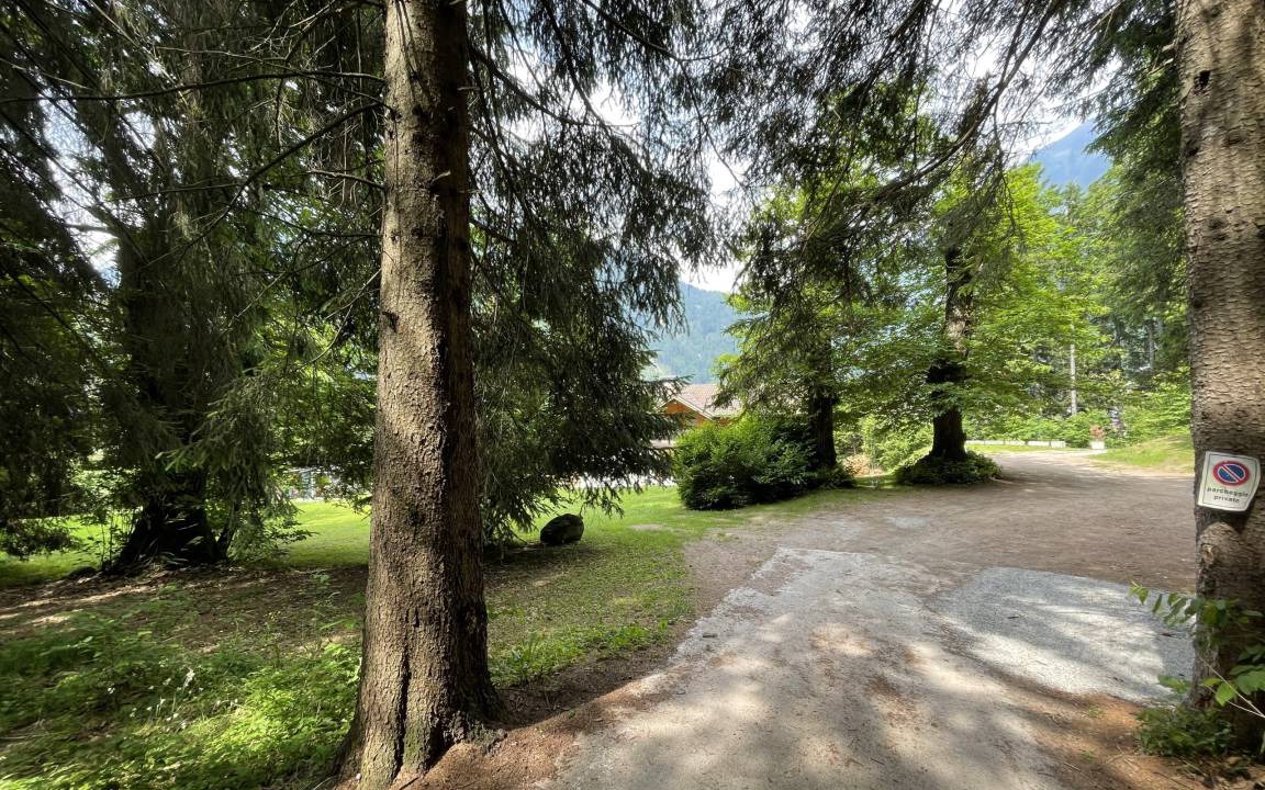 Photo of Others in Pinzolo