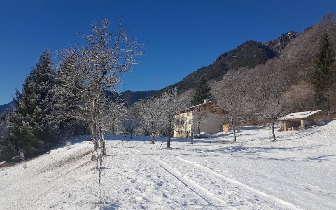 Photo of Others in Ledro