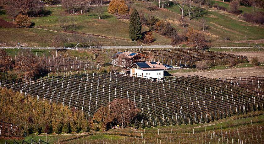Photo of Others in Bleggio Superiore