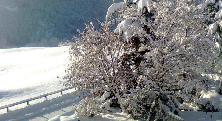 Photo of Others in Castello-Molina di Fiemme
