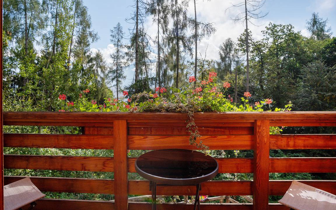 Photo of Patio Balcony in Roncegno