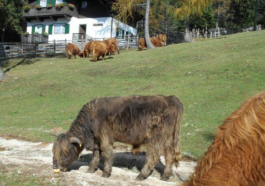 Photo of Others in Senale San Felice