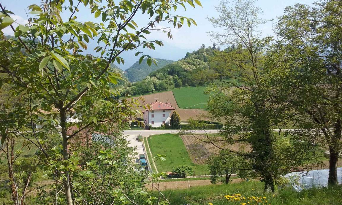 Photo of Others in Pannone