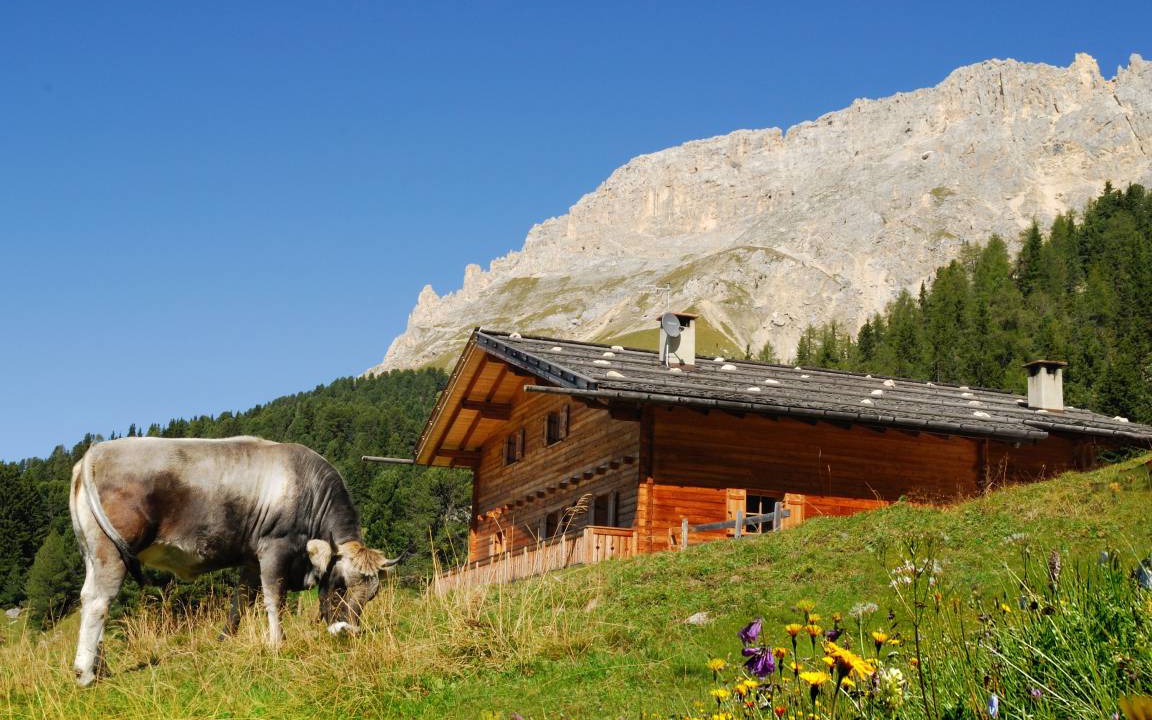 Photo of Others in Obereggen