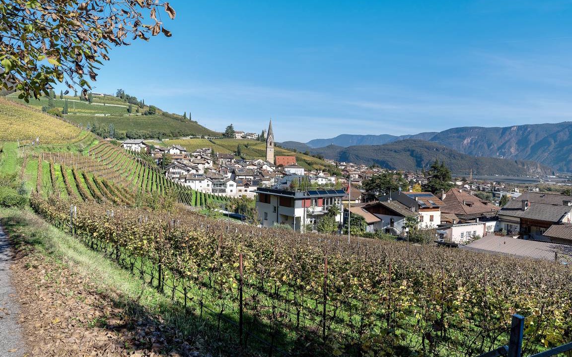 Photo of Others in Termeno Sulla Strada del Vino