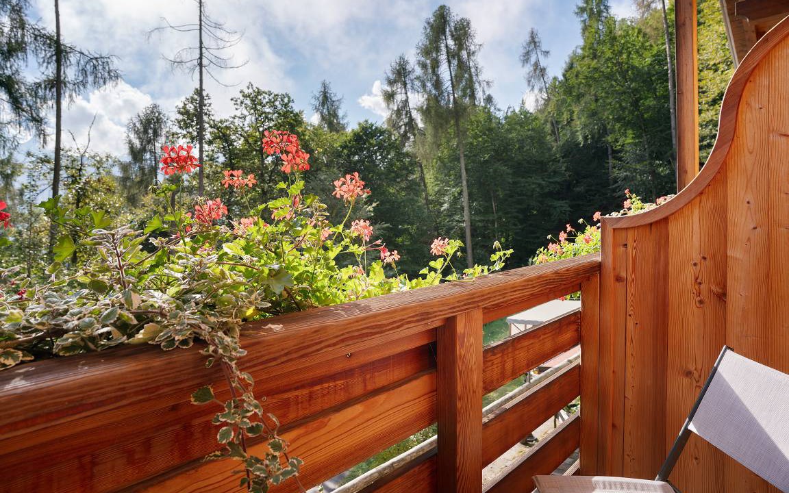 Photo of Patio Balcony in Roncegno
