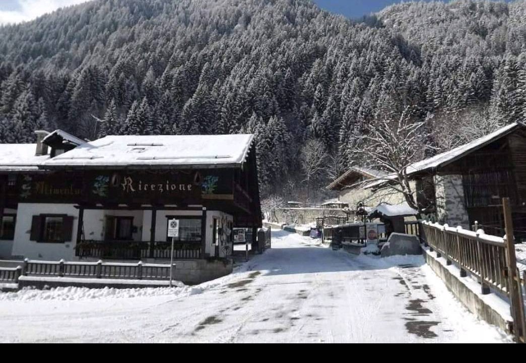 Photo of Others in Pinzolo